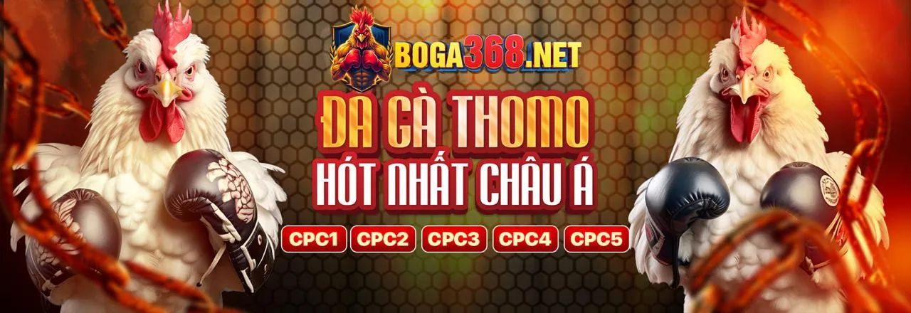 Đá gà trực tuyến kịch tính trên hi79 code