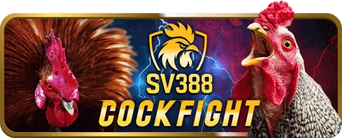 Bước 3: Xác nhận và hoàn tất đăng ký