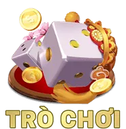 Giải pháp toàn diện